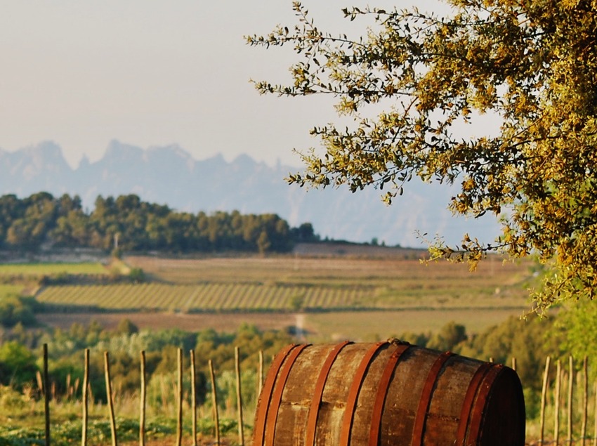 Penedès © Maria Rosa Ferré