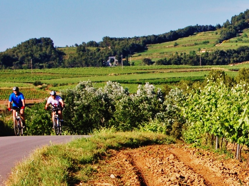 Penedès © Maria Rosa Ferré