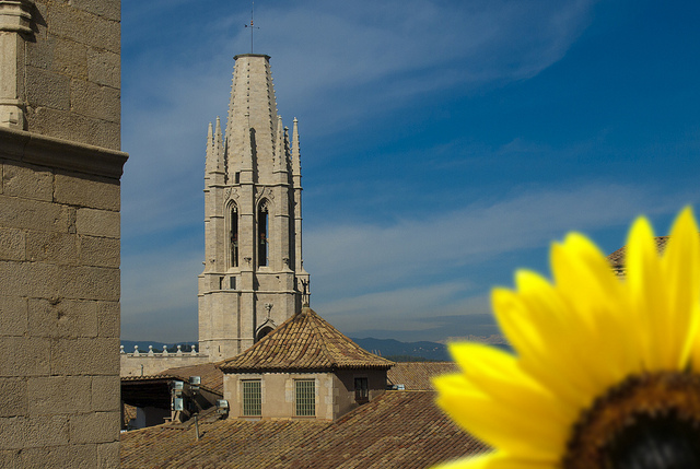 Girona Temps de Flors © jqmj Queralt